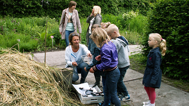 Kindermiddag met speurtocht en dromenvanger maken bij Hortus Alkmaar