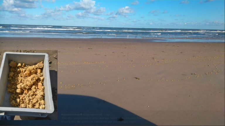Klonters paraffine op strand in heel Noord-Holland