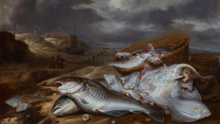 ‘Van Schaeyenborgh – Meester van het visstilleven’ in Stedelijk Museum Alkmaar