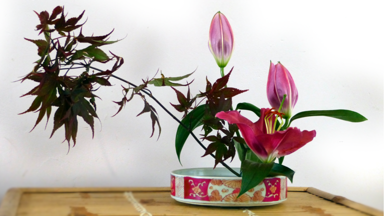 Workshop Japanse bloemsierkunst op 5 februari bij Hortus Alkmaar ?