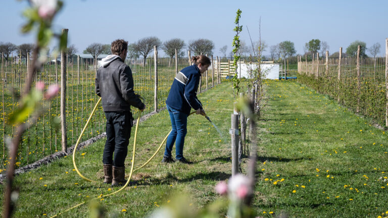 Provincie verleent subsidie voor groene vrijwilligersprojecten in regio Alkmaar