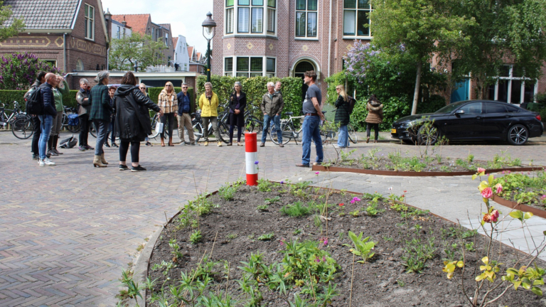 Nieuwe groene plekjes in Alkmaar dankzij bewoners en provinciale subsidie