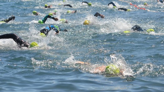 Alkmaar Sport organiseert op 11 juni de Hoornse Vaart Open Water Swim 🗓